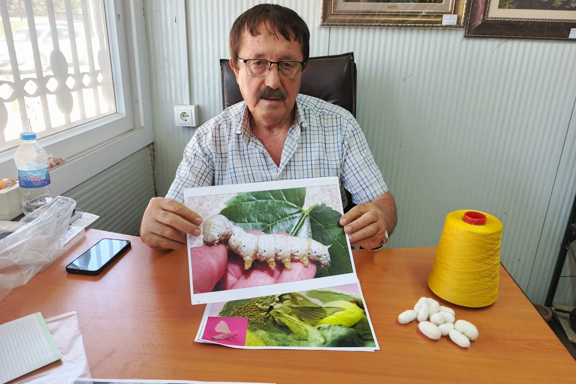 SAMANDAĞ'DA İPEKÇİLİK YOK OLMA NOKTASINA GELDİ