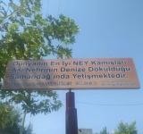 GÜNEY CUMA CAN YAZDI: Gönülden Nefes : Samandağ Ney'i