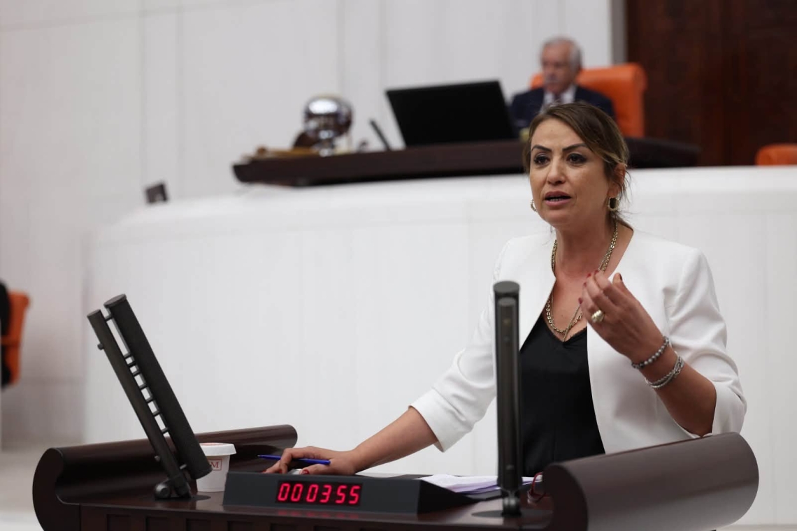 KARA, HATAY’DAKİ HAYVAN BARINAĞINI TBMM GÜNDEMİNE TAŞIDI