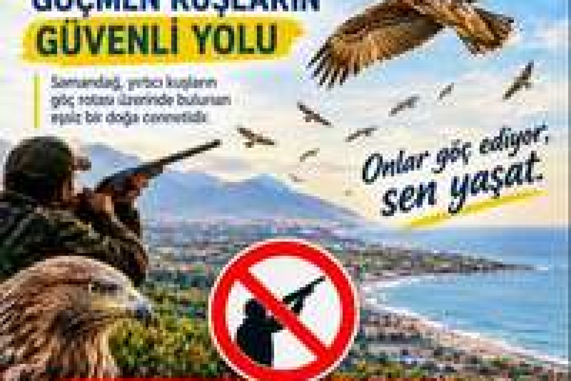 SAMANDAĞ KAYMAKAMLIĞI’NDAN YIRTICI KUŞLAR İÇİN UYARI